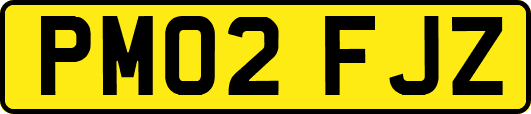 PM02FJZ