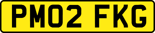 PM02FKG