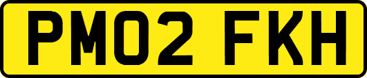PM02FKH