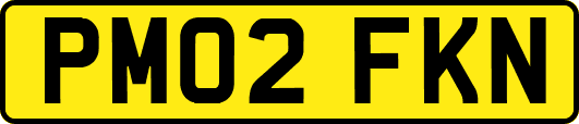 PM02FKN