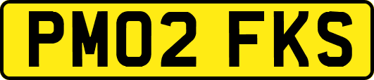 PM02FKS