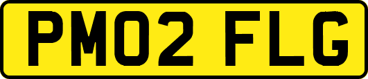 PM02FLG