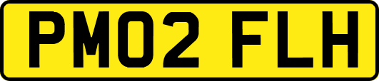 PM02FLH