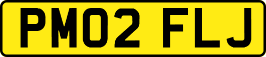 PM02FLJ