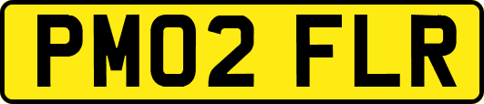PM02FLR