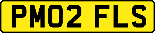PM02FLS