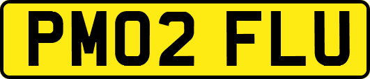 PM02FLU