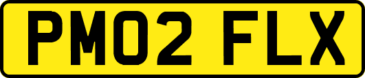 PM02FLX