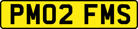 PM02FMS