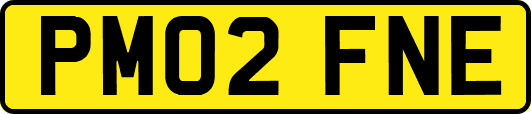PM02FNE