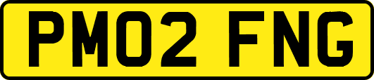 PM02FNG