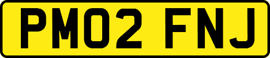 PM02FNJ