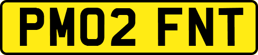 PM02FNT