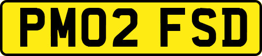 PM02FSD