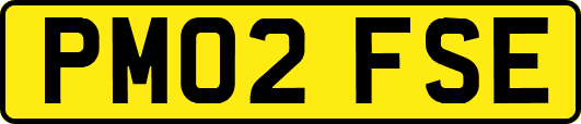 PM02FSE