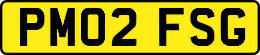 PM02FSG