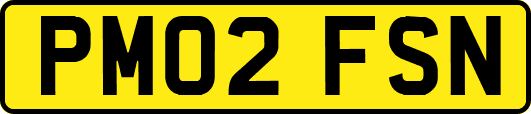 PM02FSN