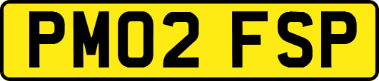 PM02FSP
