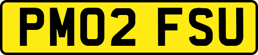 PM02FSU