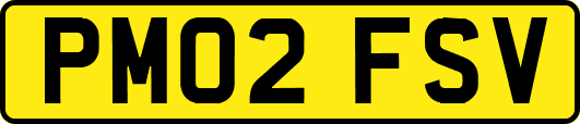 PM02FSV