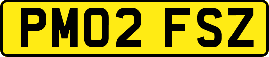 PM02FSZ