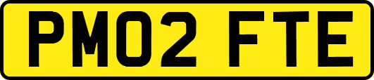 PM02FTE