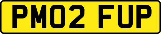PM02FUP
