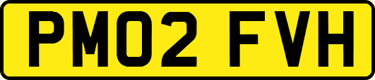 PM02FVH