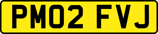 PM02FVJ