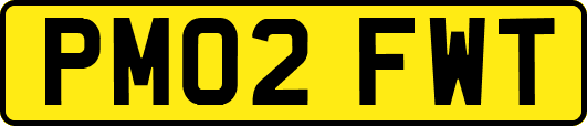 PM02FWT