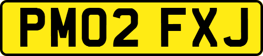 PM02FXJ