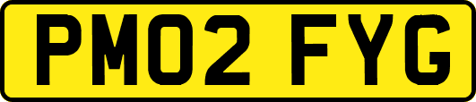 PM02FYG