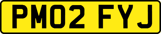 PM02FYJ