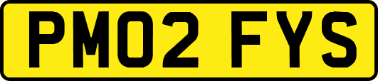 PM02FYS