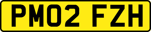 PM02FZH