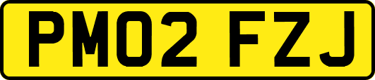 PM02FZJ