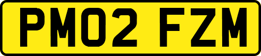 PM02FZM
