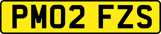 PM02FZS