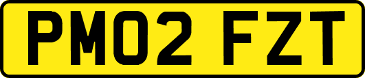 PM02FZT