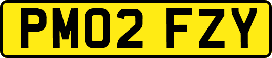 PM02FZY