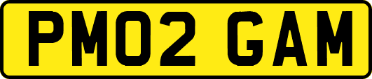 PM02GAM