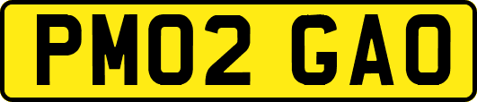 PM02GAO