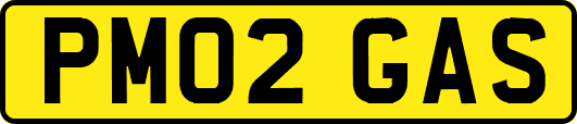 PM02GAS