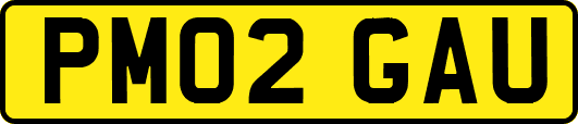 PM02GAU