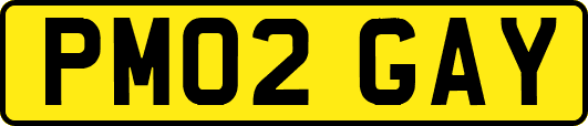 PM02GAY