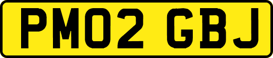 PM02GBJ