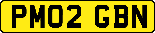 PM02GBN