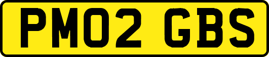PM02GBS