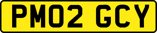 PM02GCY