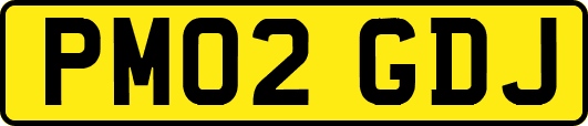 PM02GDJ